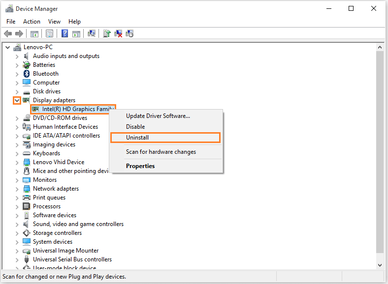 not showing display adapter device manager